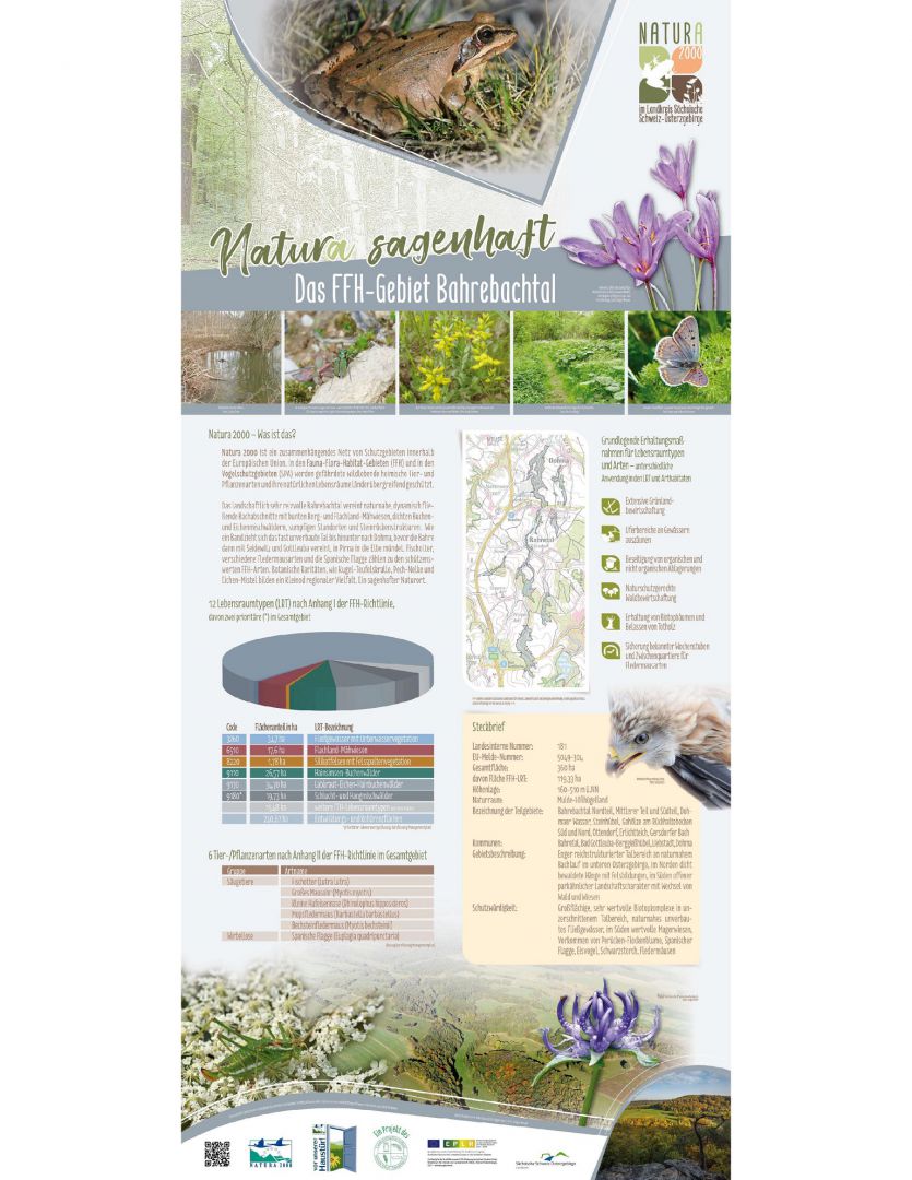 tl_files/downloads/Bilder Projekte/Projektstellen/Natura 2000 2.0/Rollups/Bahrebachtal.jpg